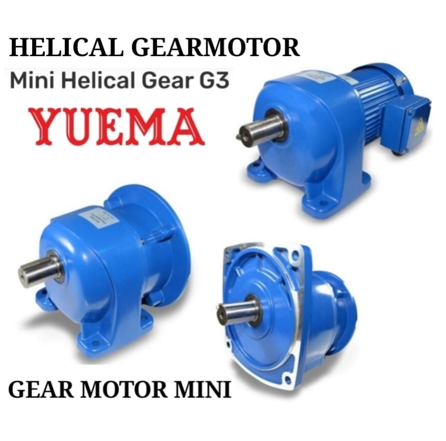 Helical gearmotor