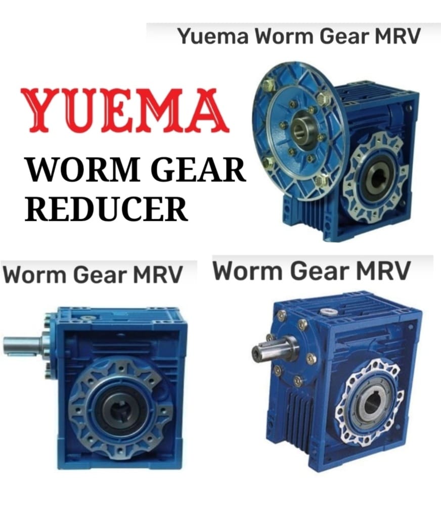 worm gear reducer yuema motor